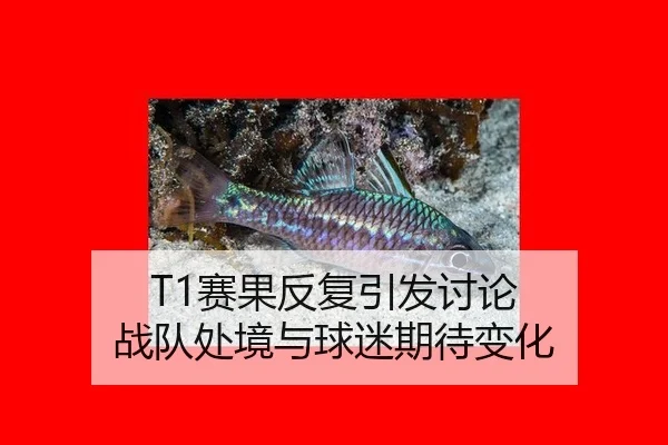 sai-guo-fan-fu-yin-fa-tao-lun-zhan-dui-chu-jing-yu-qiu-mi-qi-dai-bian-hua-2-545.jpg